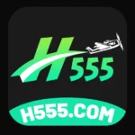 H555 Game home screen guide
