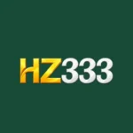 HZ333 Game latest version app interface